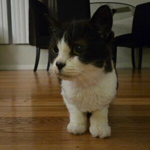 Meet your Posher, Wendy